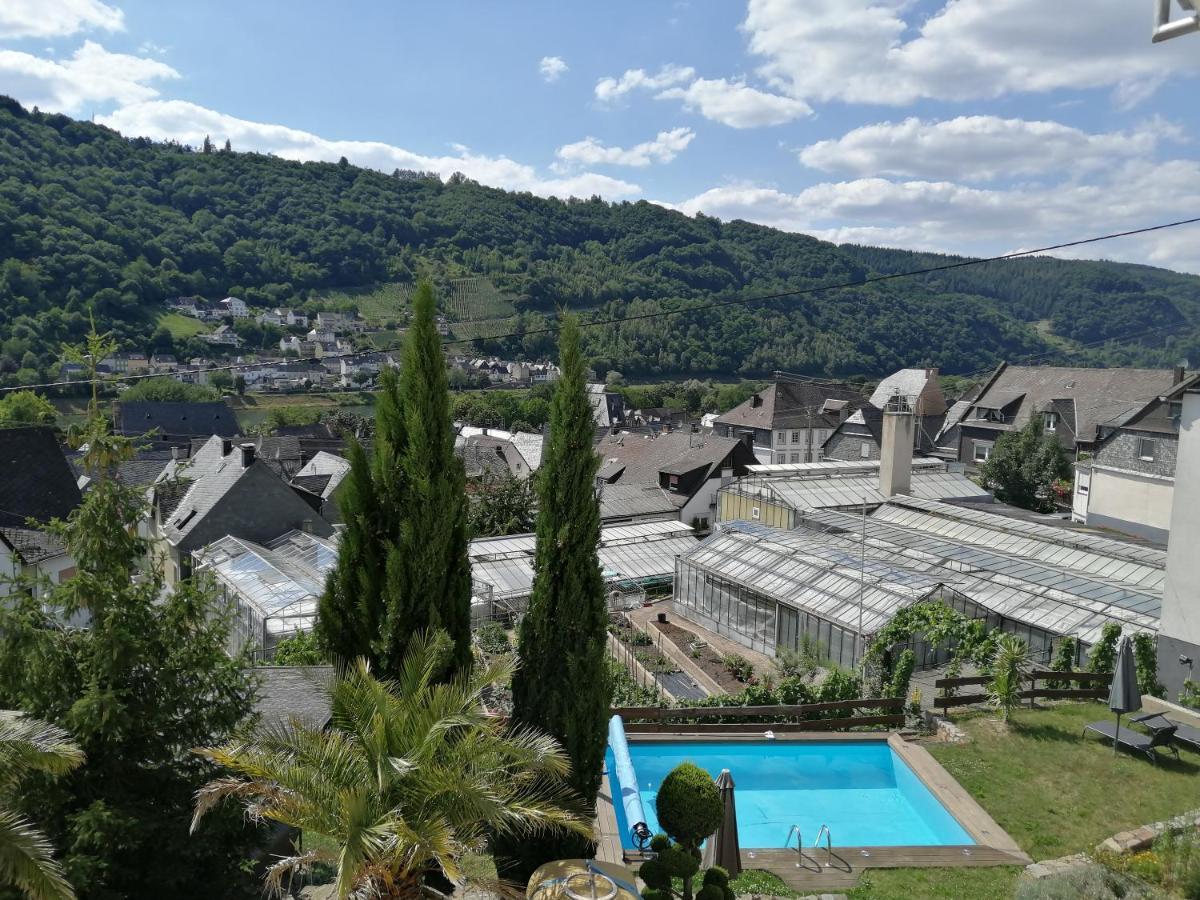 Weingut Stiftshof Hotel Enkirch Kültér fotó
