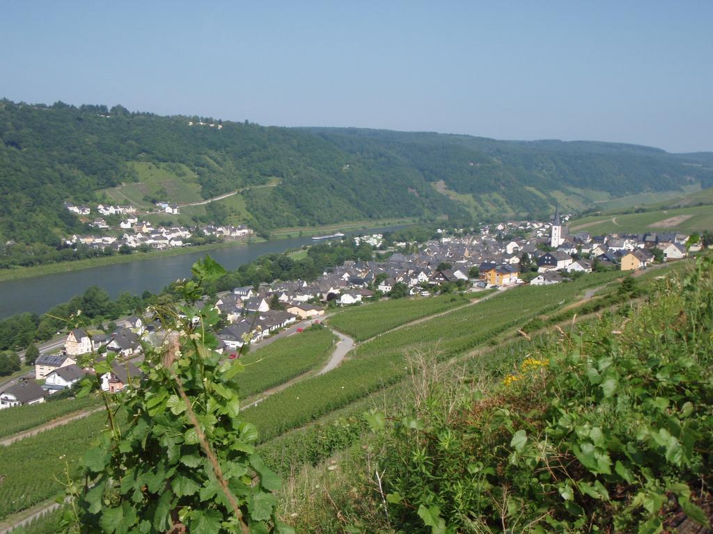 Weingut Stiftshof Hotel Enkirch Kültér fotó
