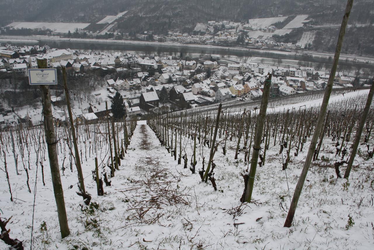 Weingut Stiftshof Hotel Enkirch Kültér fotó