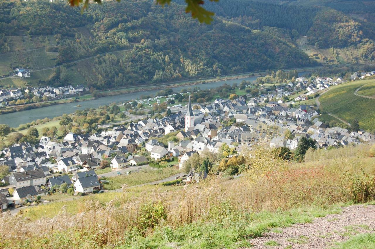 Weingut Stiftshof Hotel Enkirch Kültér fotó